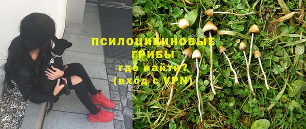 тгк Алексеевка