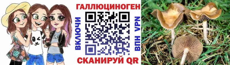 Галлюциногенные грибы Cubensis  наркота  Нурлат 
